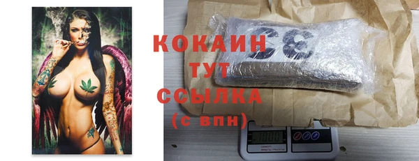 шишки Балахна