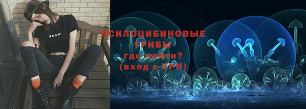 шишки Балахна