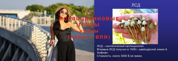 шишки Балахна