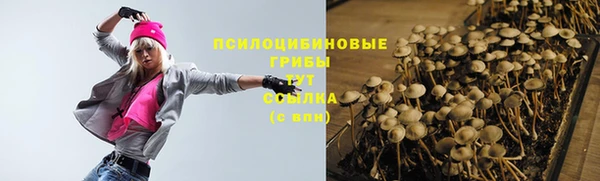 индика Снежногорск