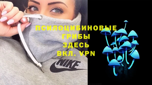 соль ск Слюдянка